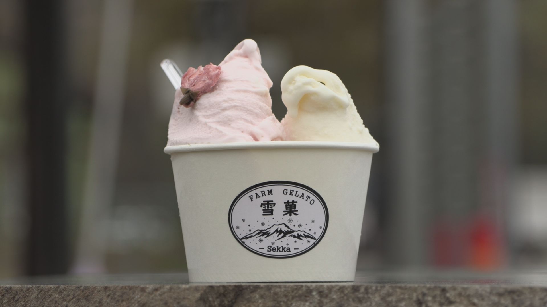 季節で変わる妙高フレーバー！「FARM GELATO 雪菓」