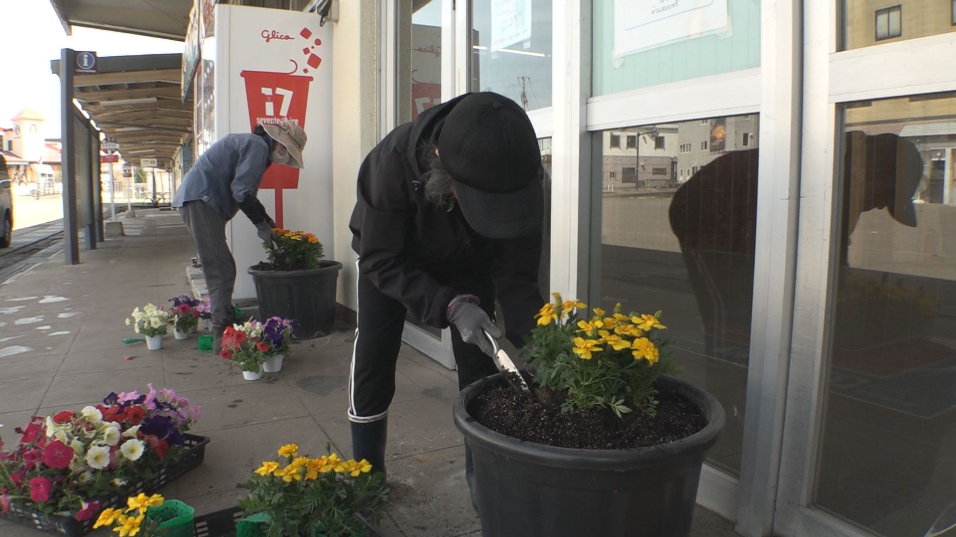季節の花で彩りを！妙高高原駅前に花の植栽