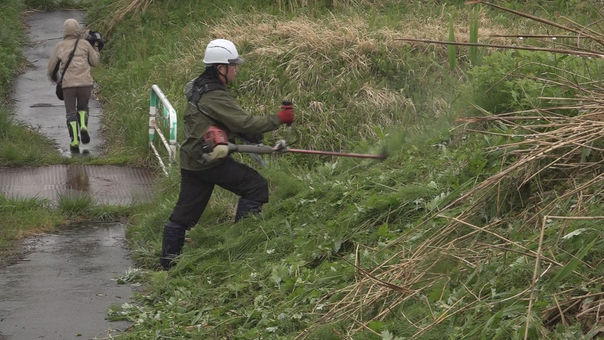クマ被害対策 関川河川敷で草刈りや樹木の伐採
