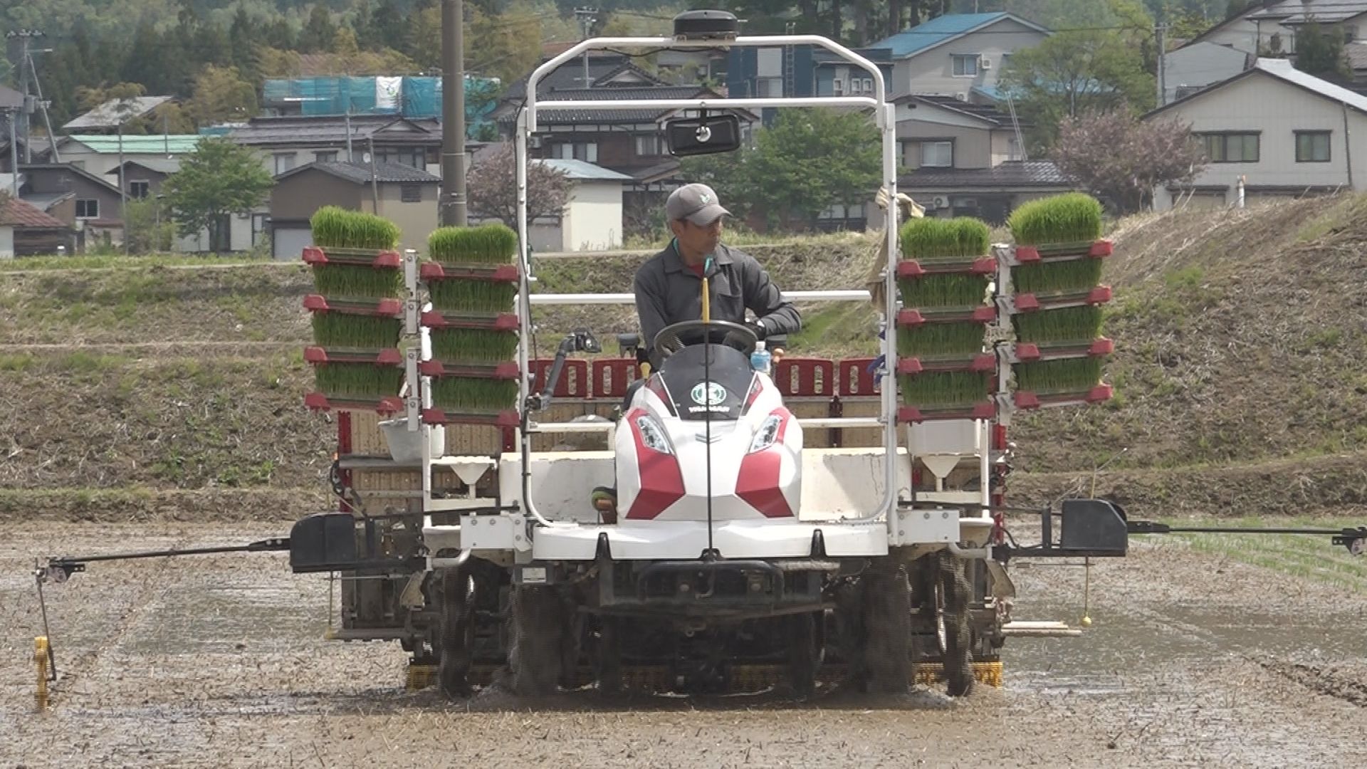 上越市清里区で田植え始まる 夏の水不足に不安の声