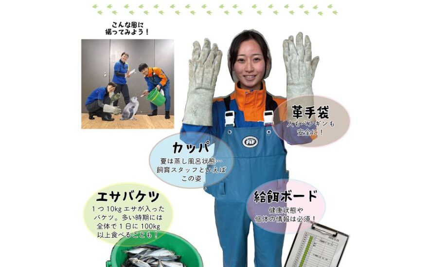 うみがたり 特別展「今日からあなたもペンギンスタッフ」5月16日(土)から
