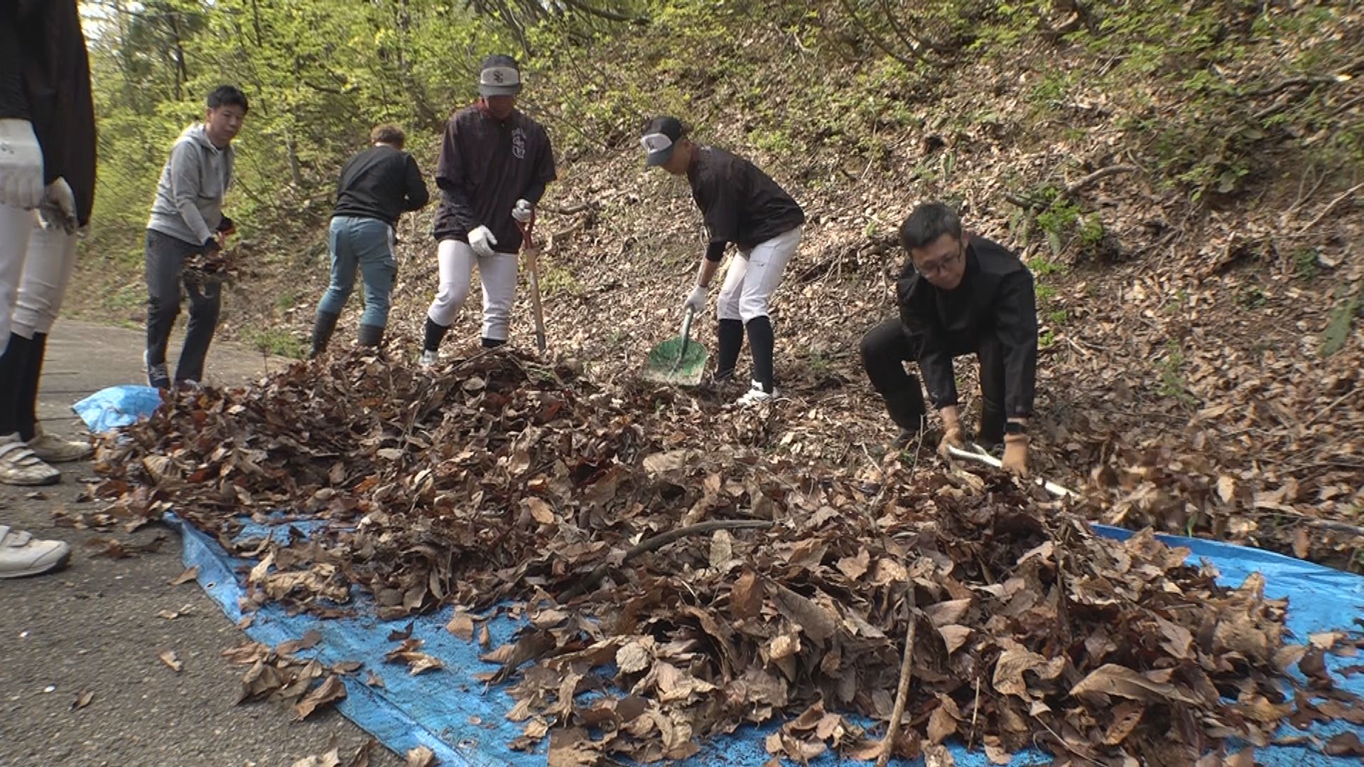 金谷山公園周辺 地元町内会と関根学園野球部が側溝掃除