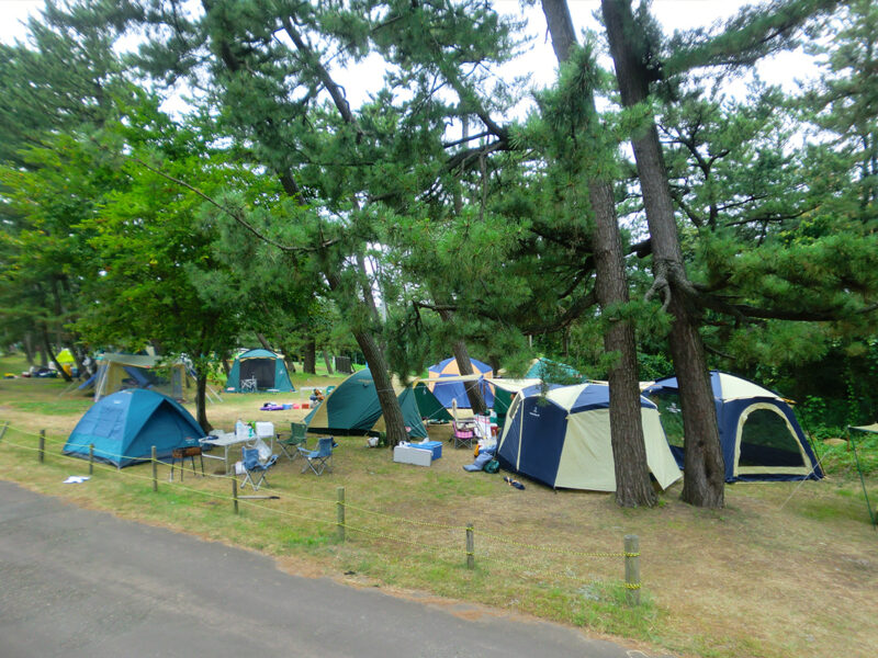キャンプ場ガイド  ～大潟キャンプ場（上越市大潟区）～