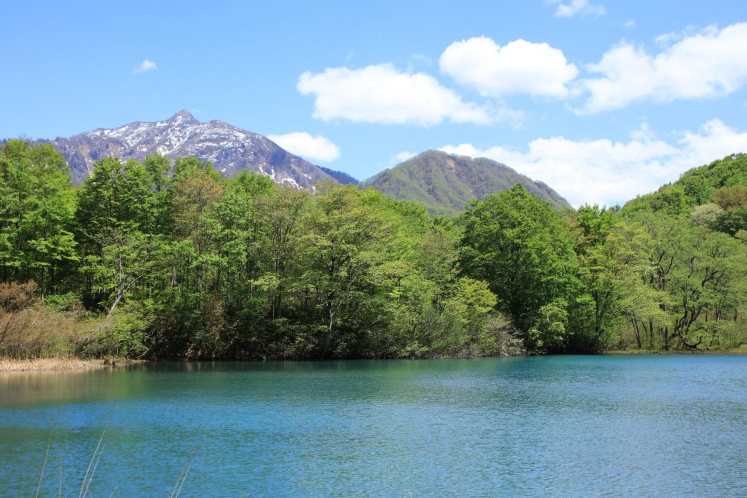 キャンプ場ガイド ～雨飾山麓しろ池の森（糸魚川市大久保）