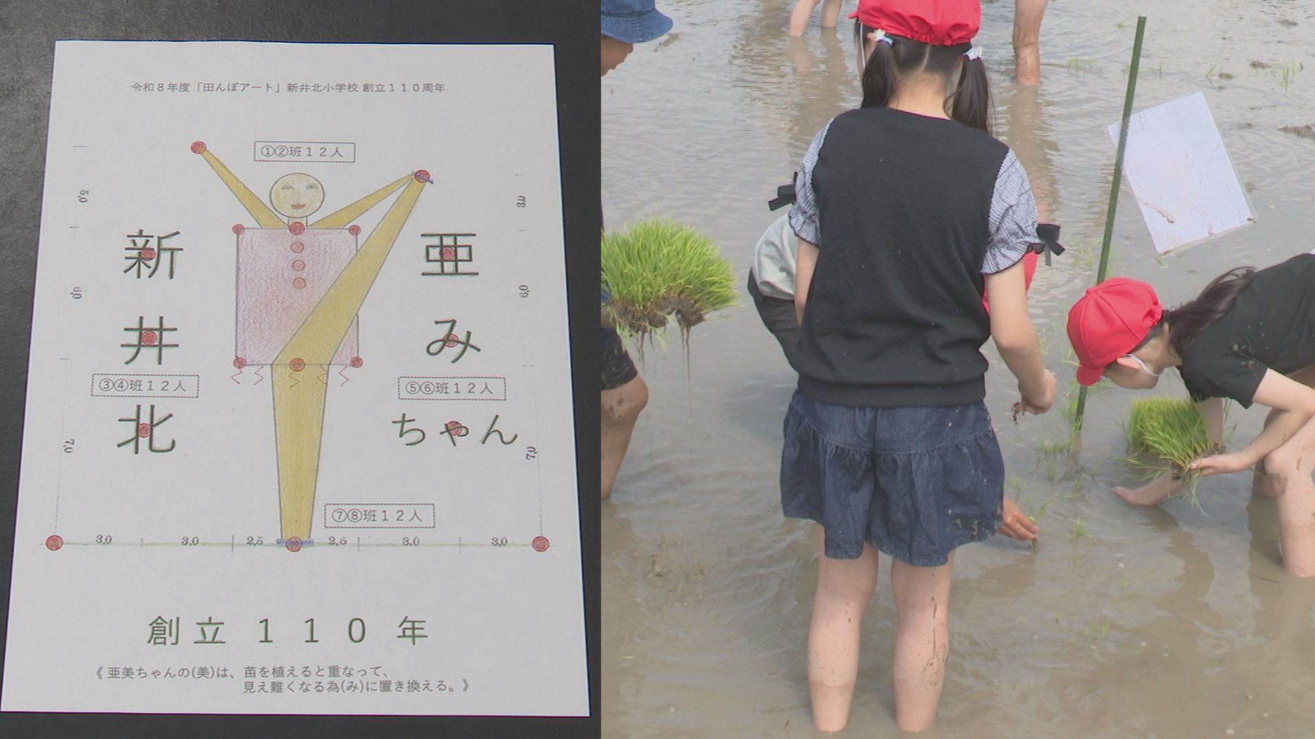 創立110周年を祝うトリプルアクセル！新井北小児童が田んぼアートに挑戦