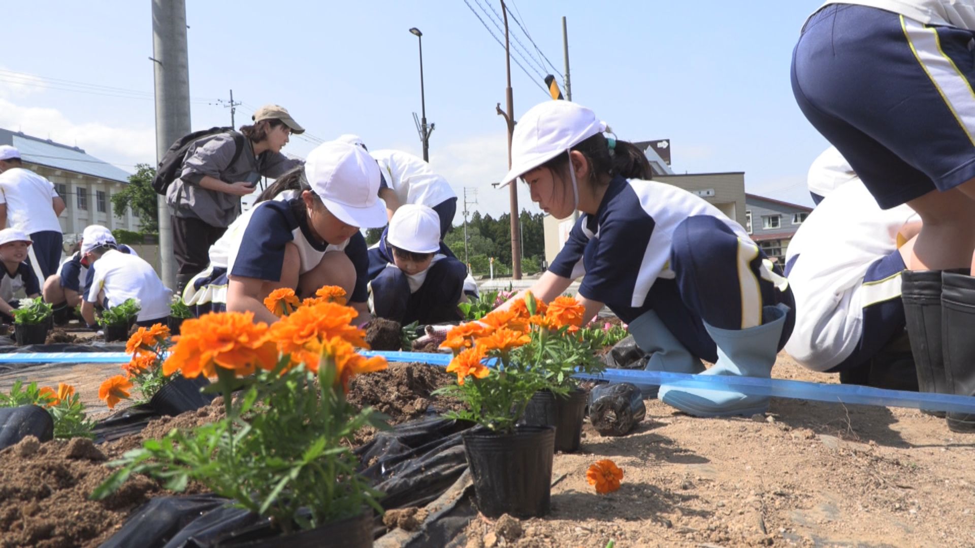 花を見て心を和ませて！関山交差点に市民と児童が花植え