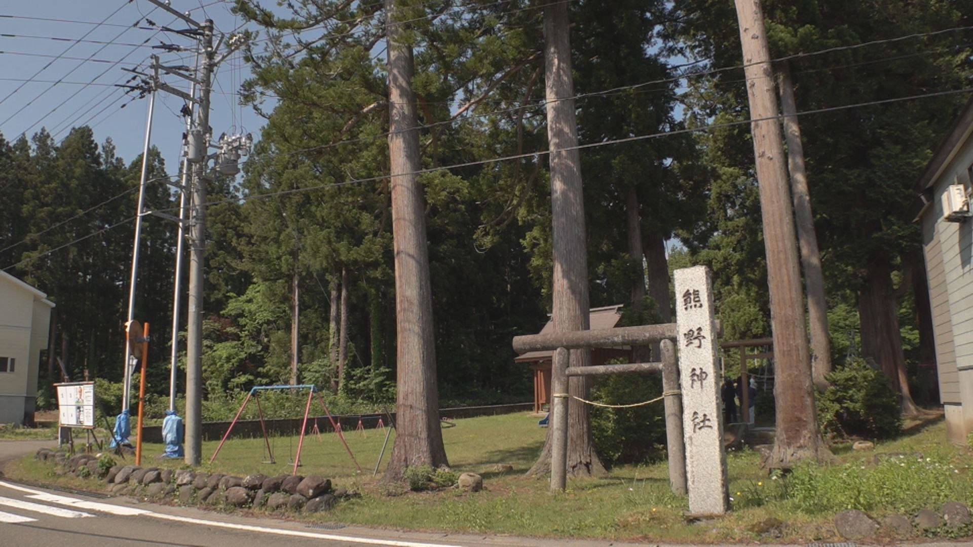 上越市灰塚 長年親しまれた御神木を伐採へ 住民が集まり別れを惜しむ