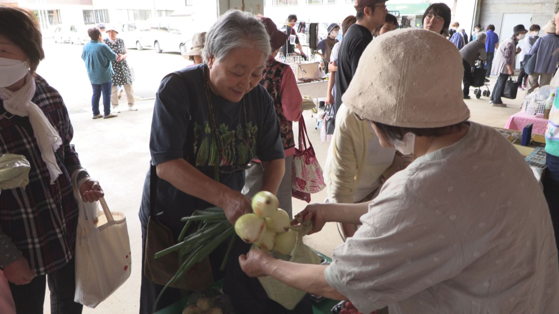 新緑の季節 今年も「きよさと朝市」始まる