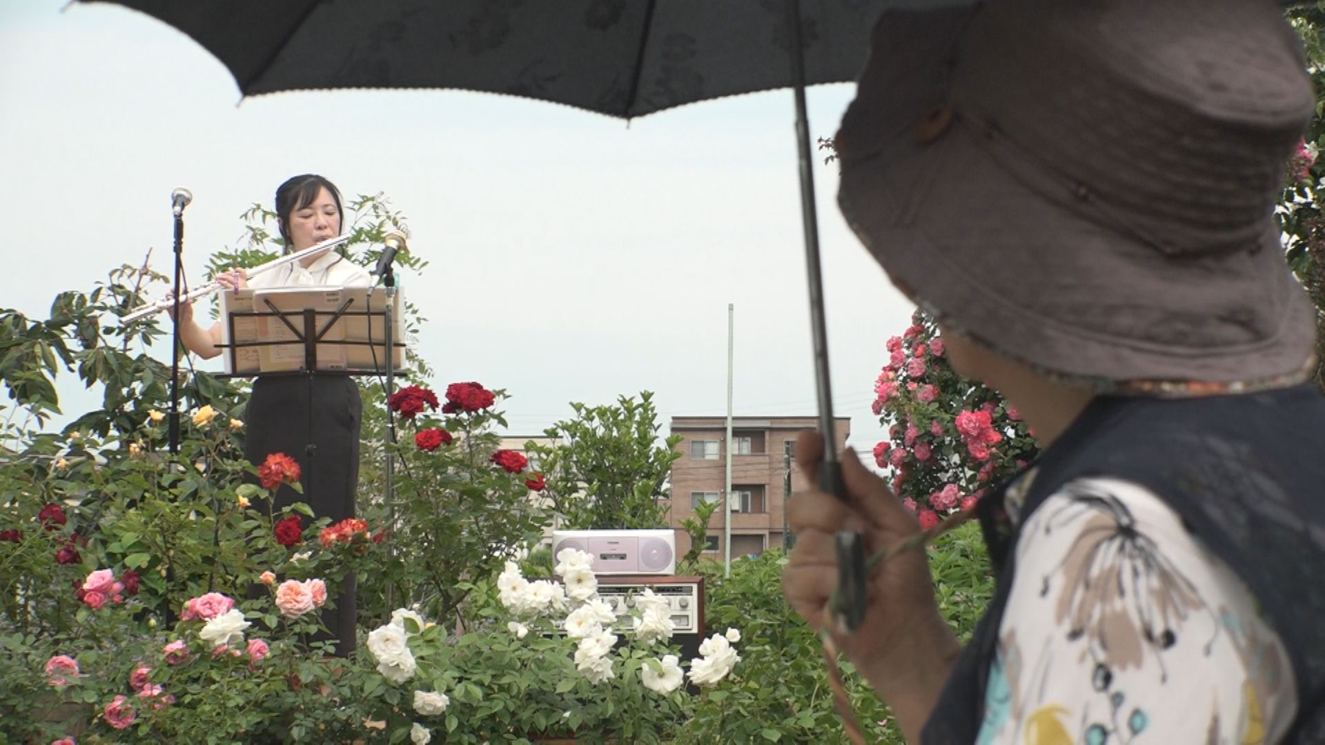 300種類の草花に囲まれて 妙高市 清水良隆さんのお庭で花園コンサート♪