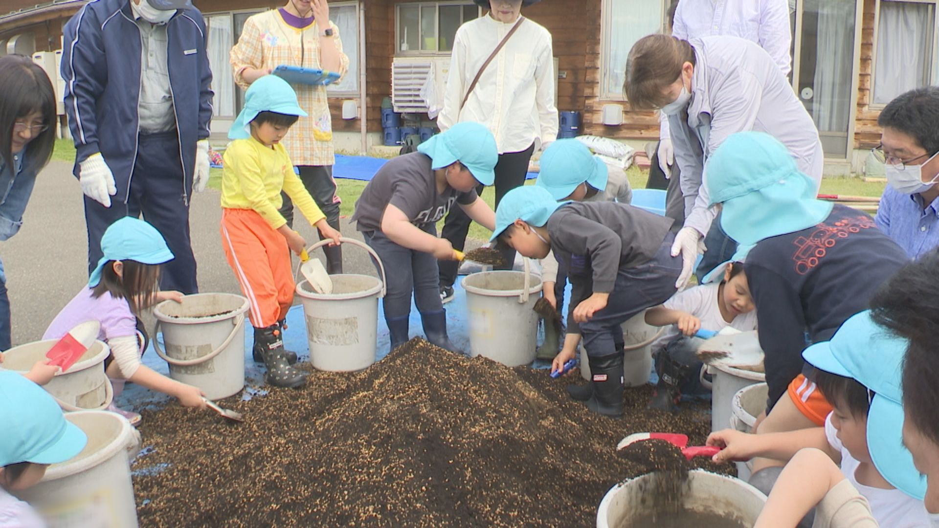 バケツで稲育てる！下門前保育園の園児がコメ作りに挑戦