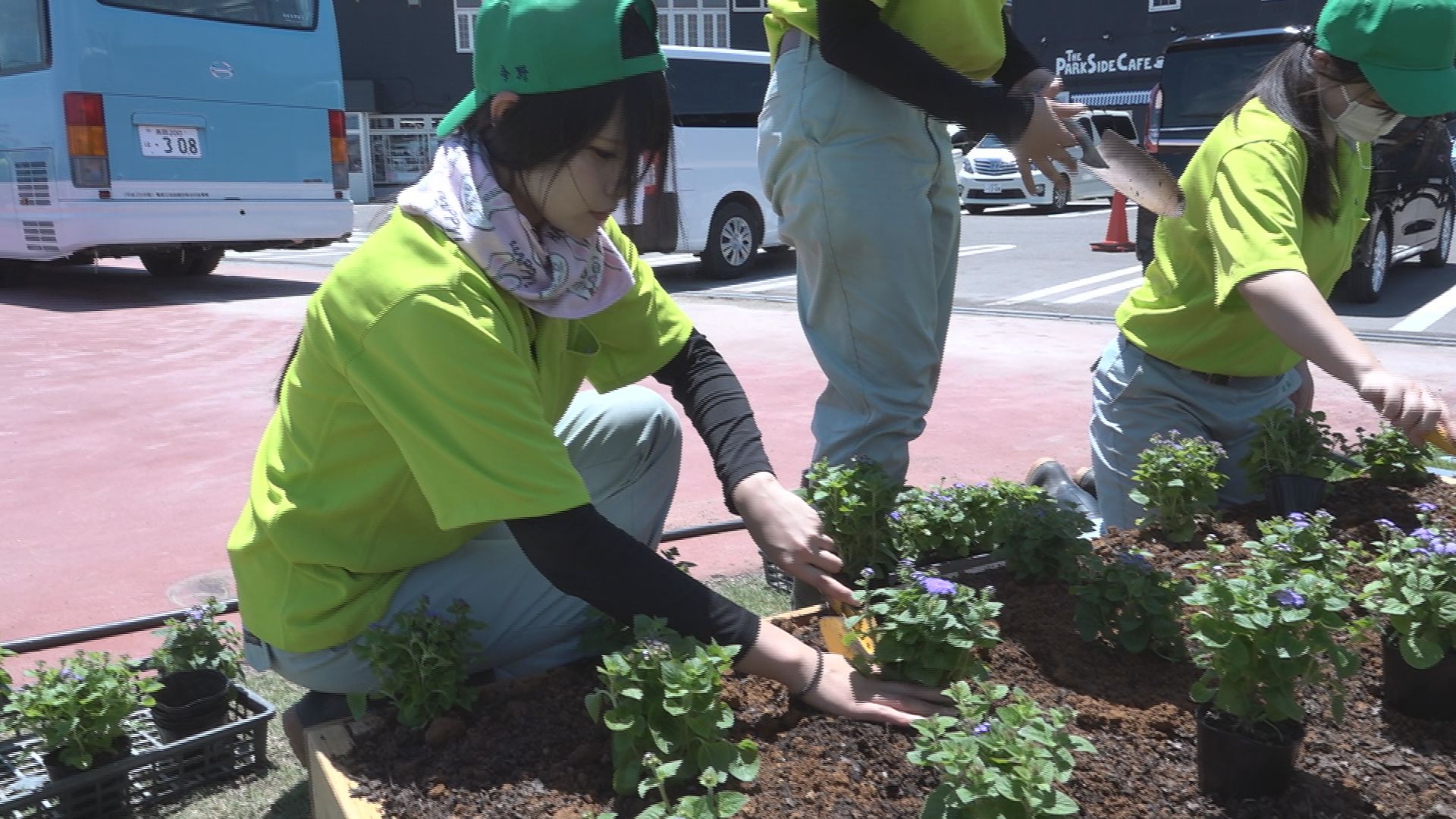 高田農業高校3年生 上越みらい公園に自分たちで育てた花植栽