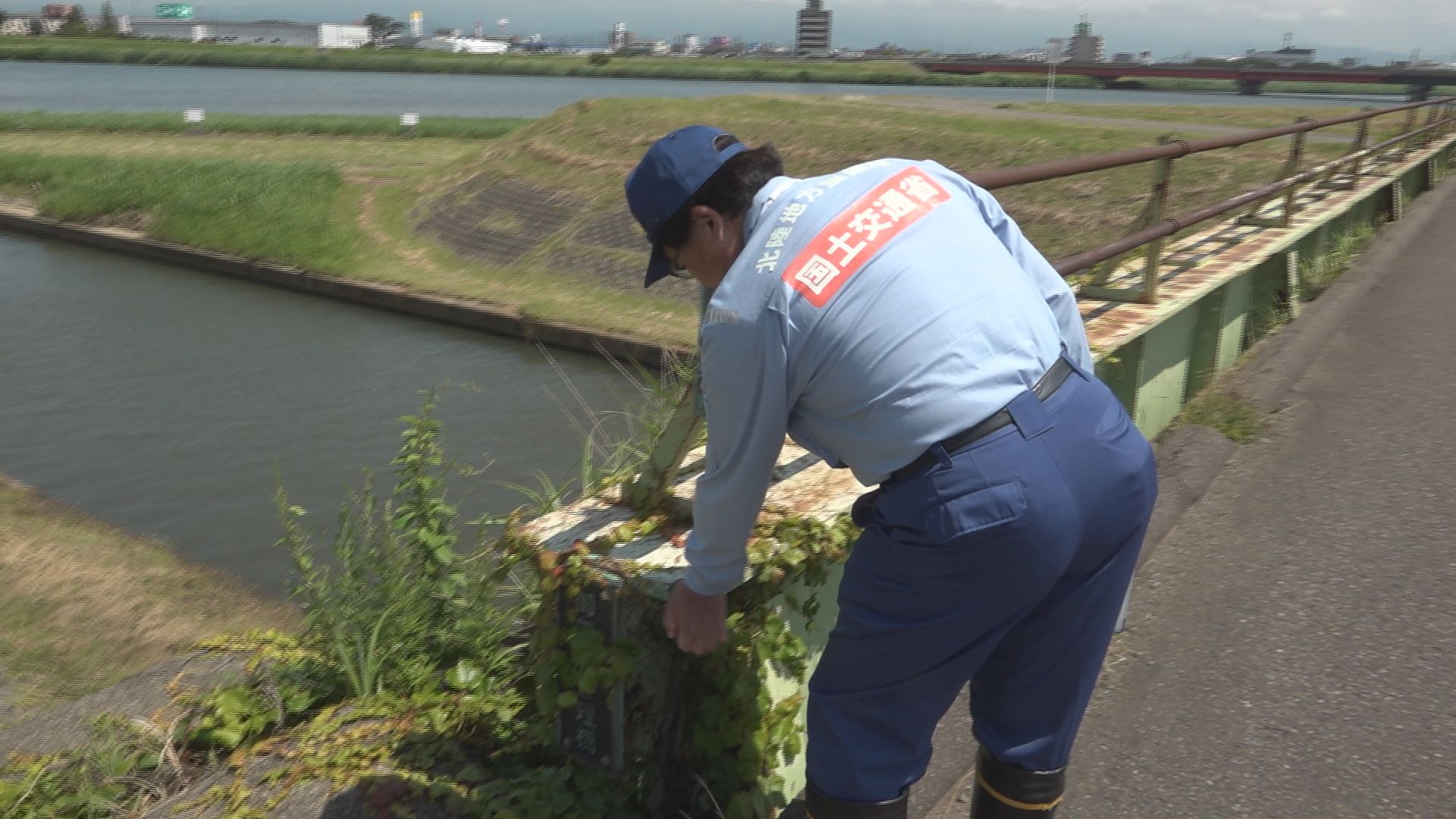 夏休みを前に関川と保倉川で安全点検