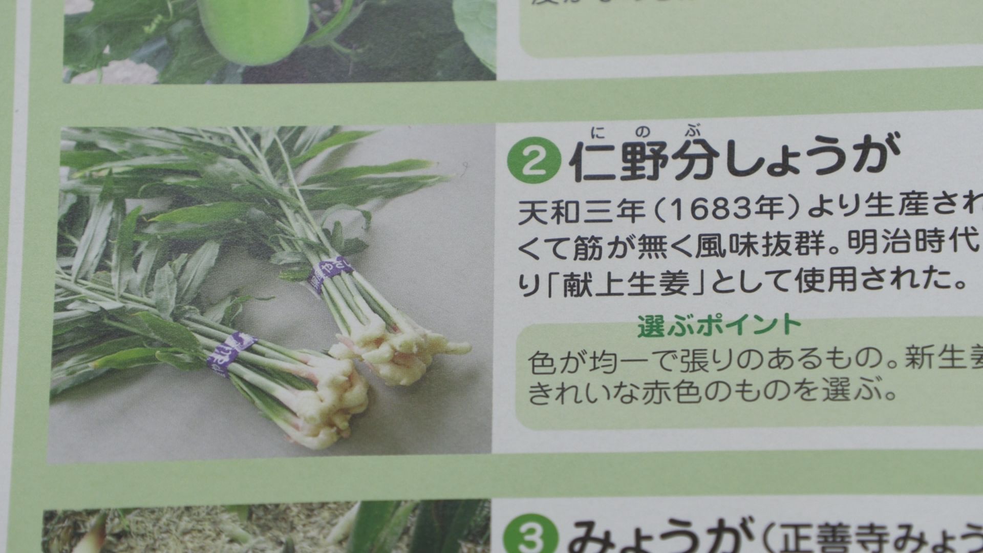 「上越野菜」認定品目を見直し 「仁野分しょうが」が外れ「自然薯」追加