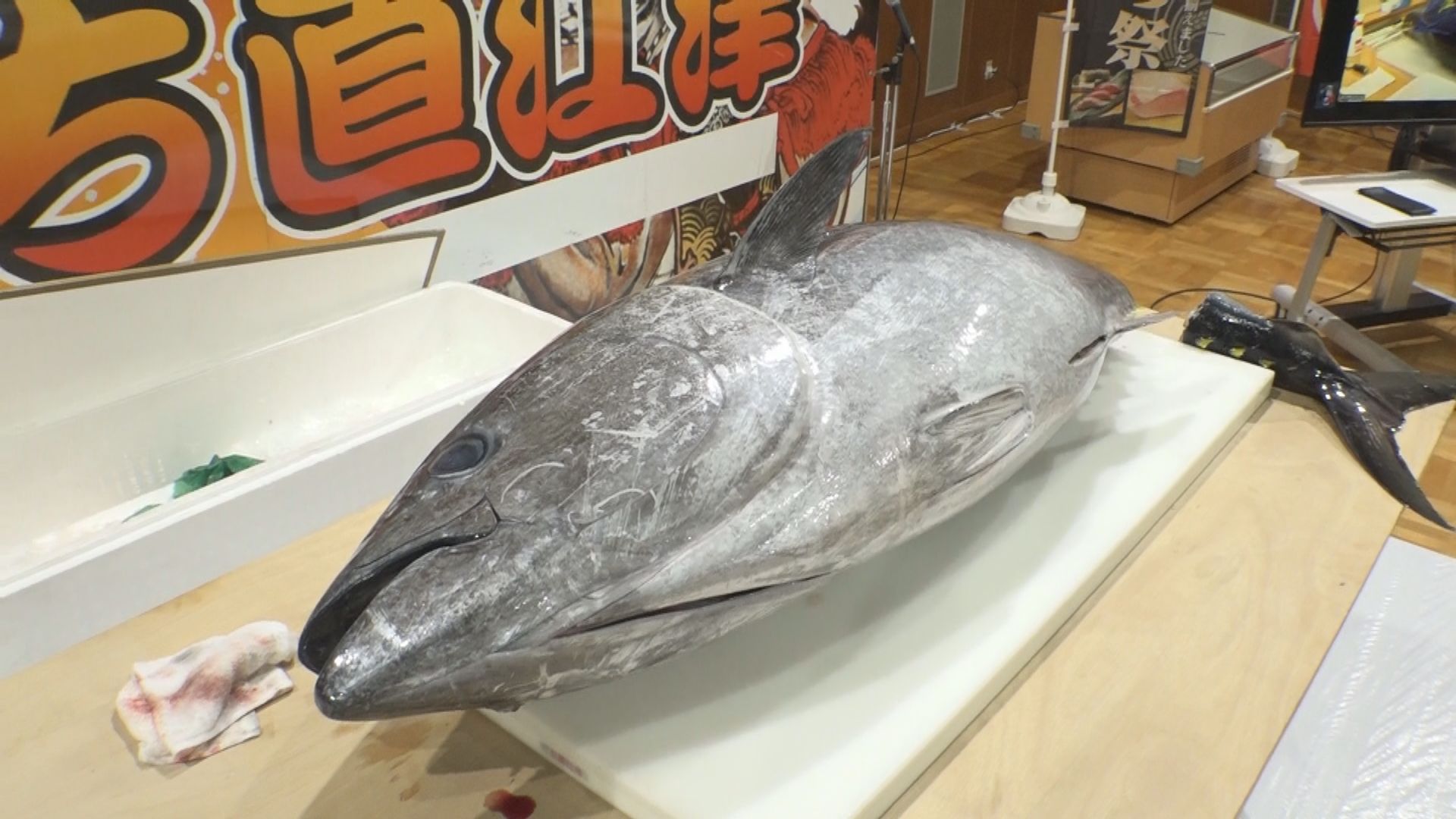 マグロ解体ショーに釘付け！初開催「越佐まぐろ祭り」にぎわう