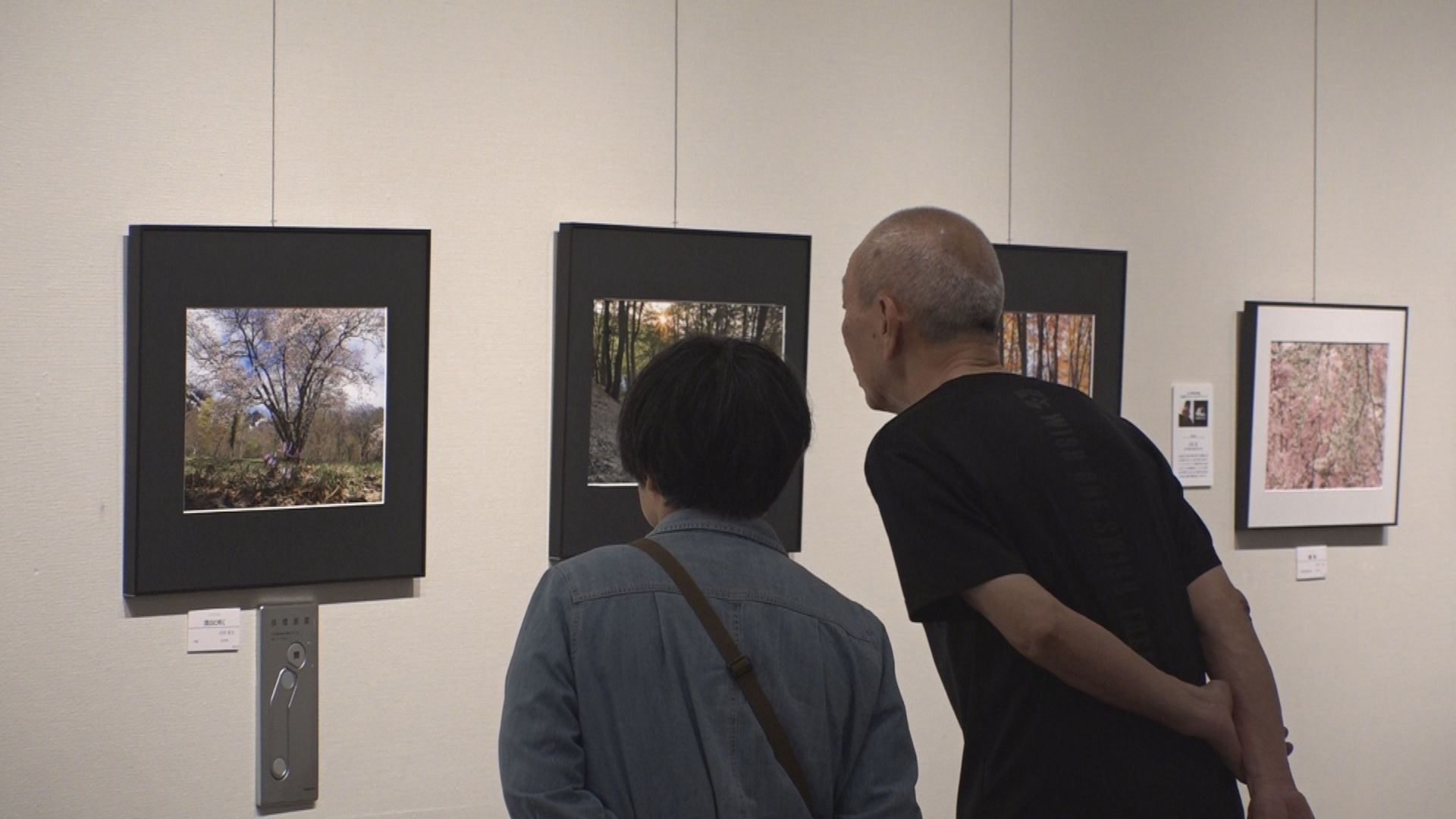 自然への愛を写真へ 久比岐ネイチャーフォトグラファーズ写真展 21日(日)まで