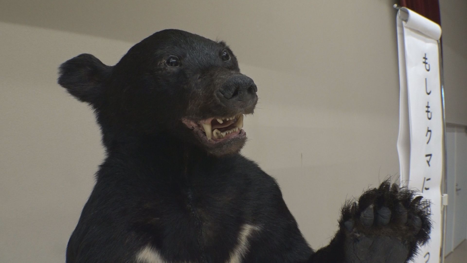 クマ被害減らすための環境整備が大切！妙高市で専門家による講演会