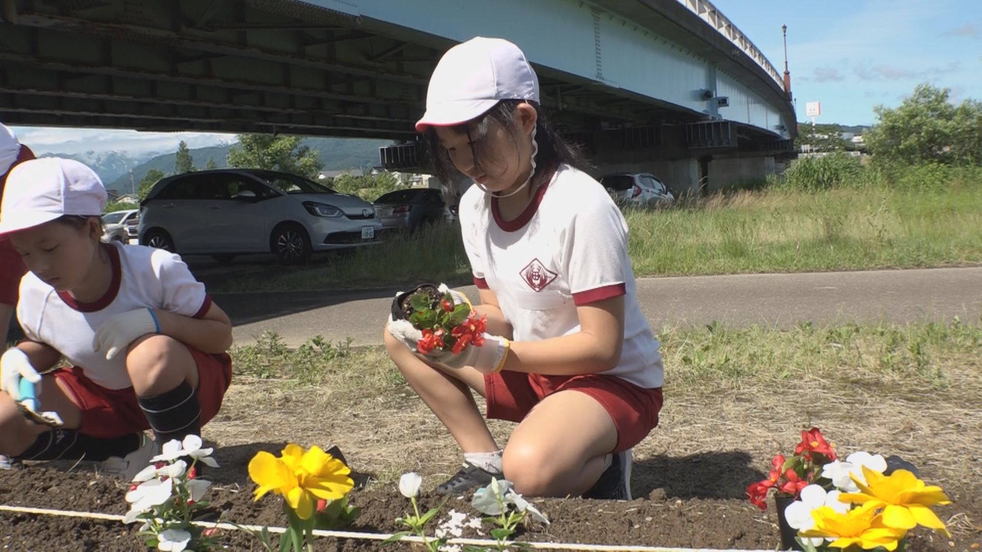 ふれあいの場を美しく！稲田小4年生 河川敷に花を植える