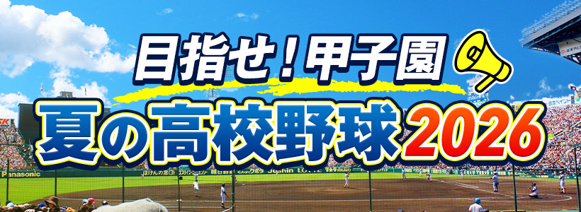 夏の高校野球 新潟大会