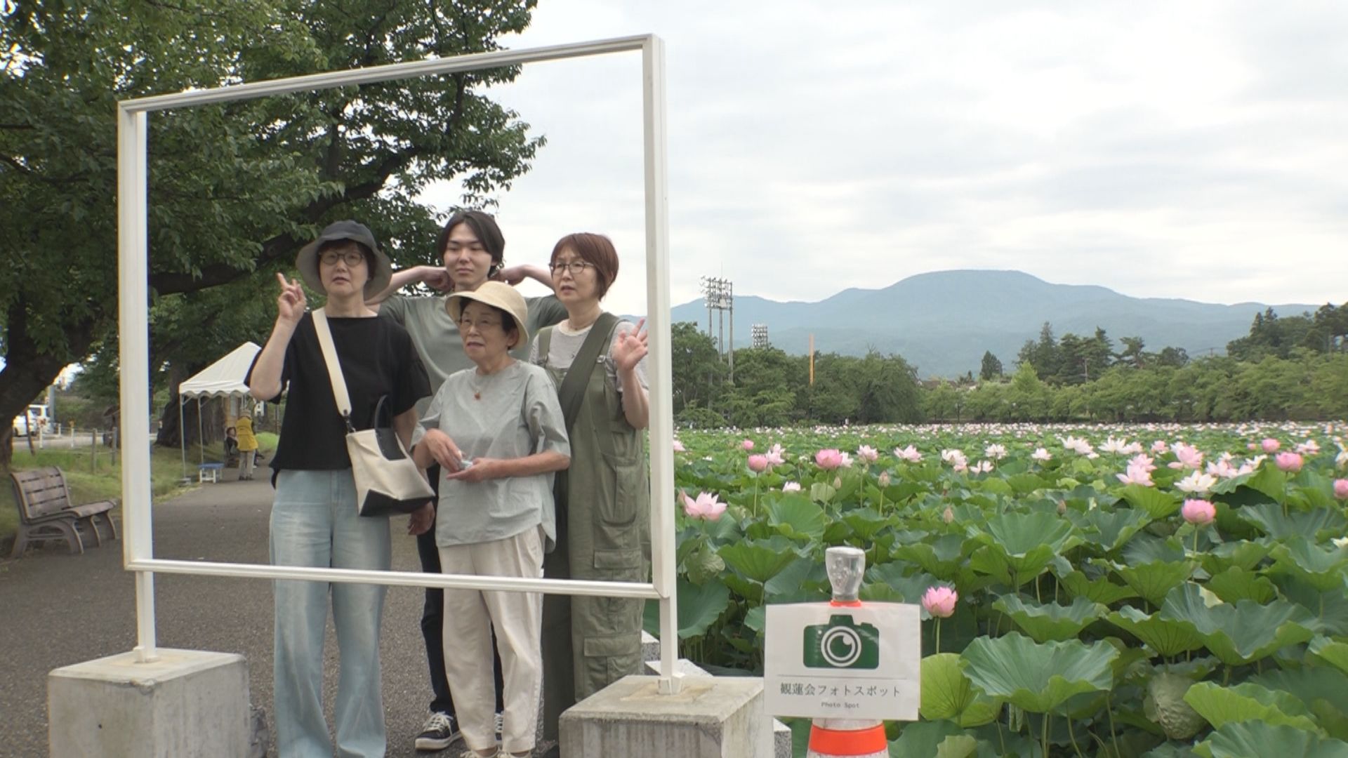 高田城址公園 観蓮会はじまる