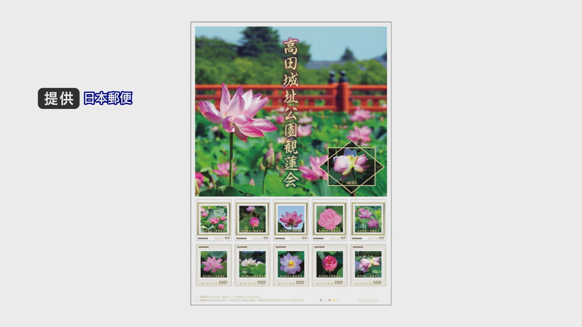 高田城址公園観蓮会オリジナルフレーム切手 17日(金)から販売