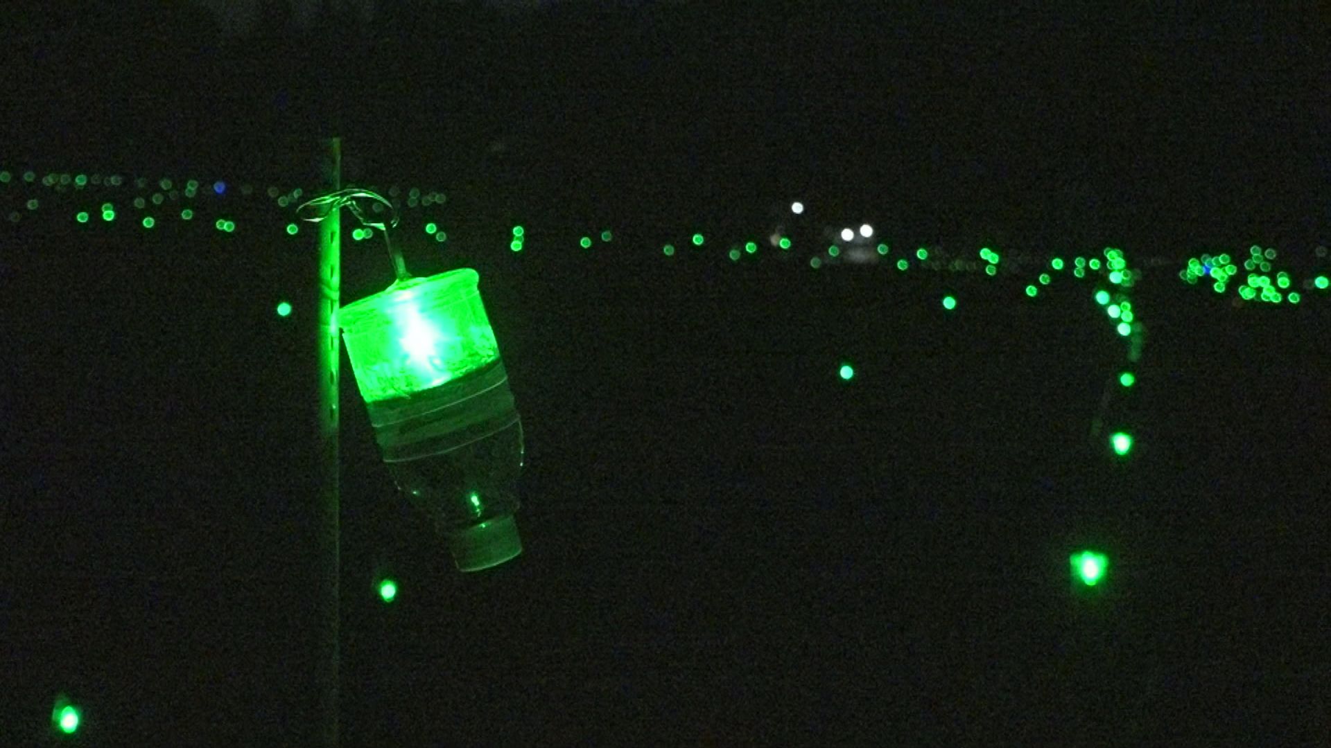牧区泉集落 2000個のLEDで棚田をライトアップ！ 来月29日まで