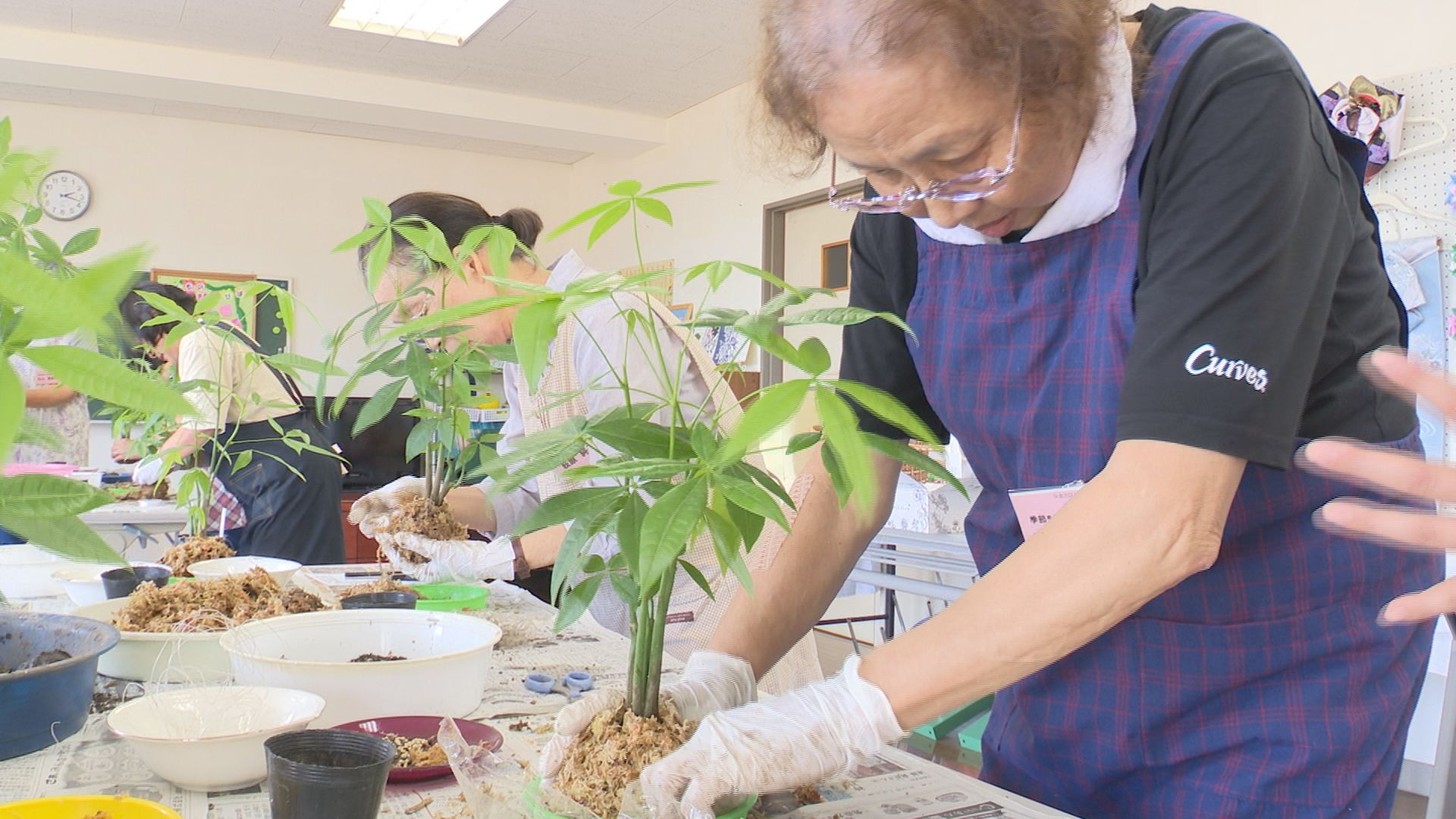 涼しさ感じて！コケ玉づくり教室 保倉地区公民館