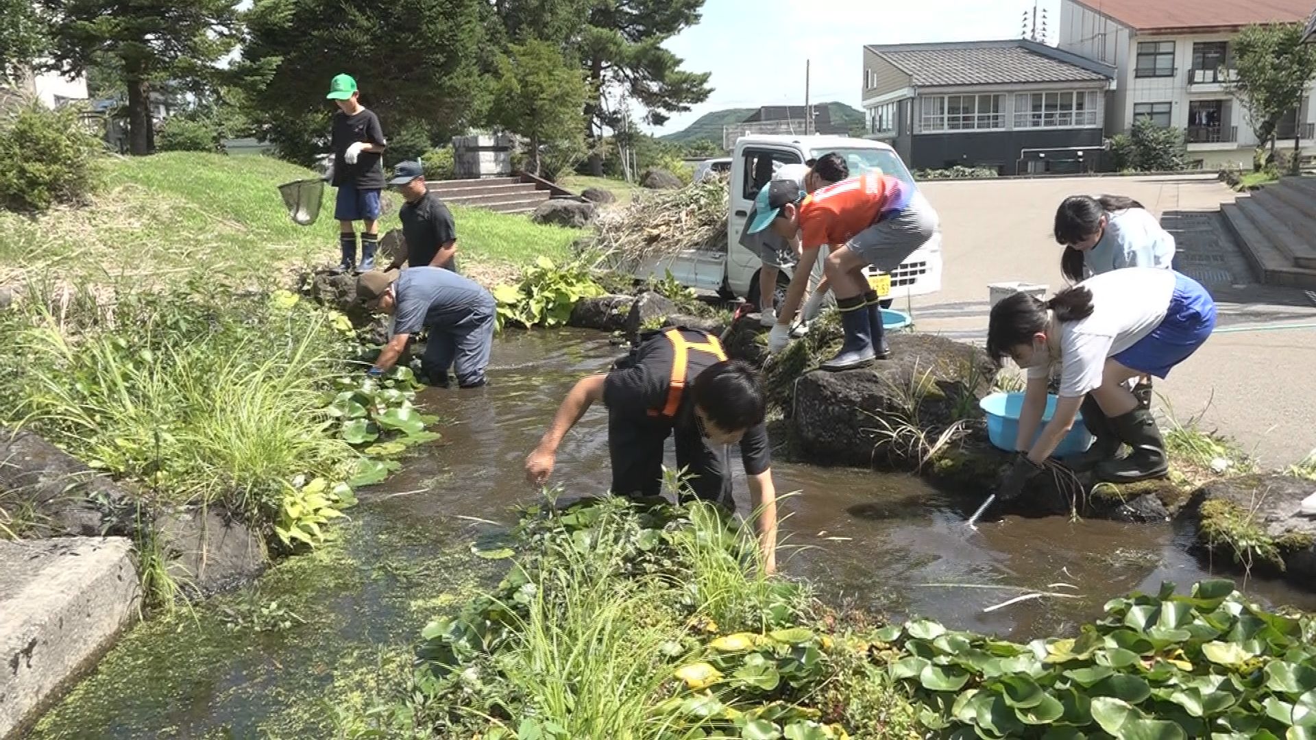 生き物の宝庫！ 妙高中 池のクリーンアップ大作戦