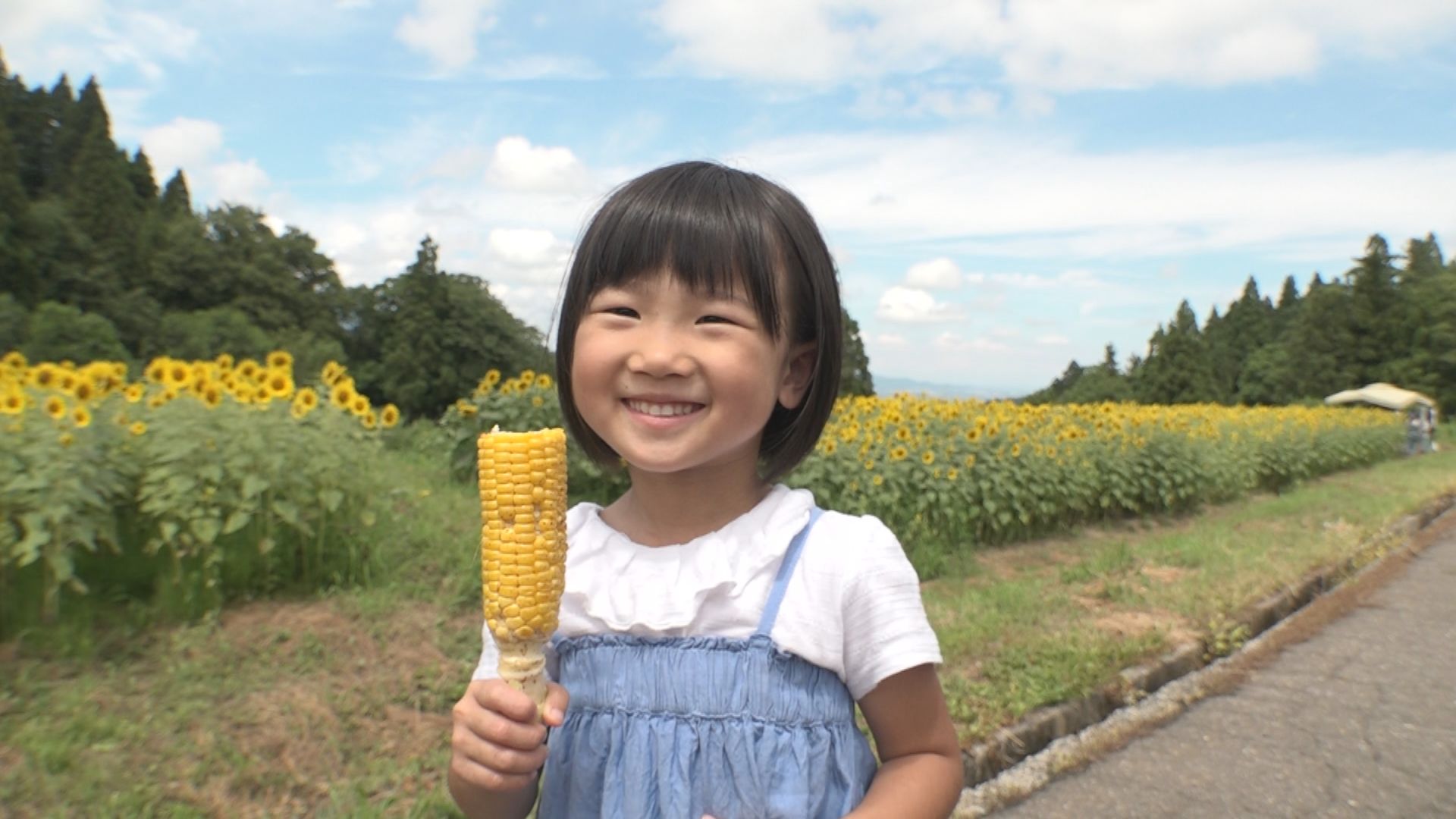 見て 食べて 夏を楽しむ！板倉区久々野 ヒマワリ見ごろ