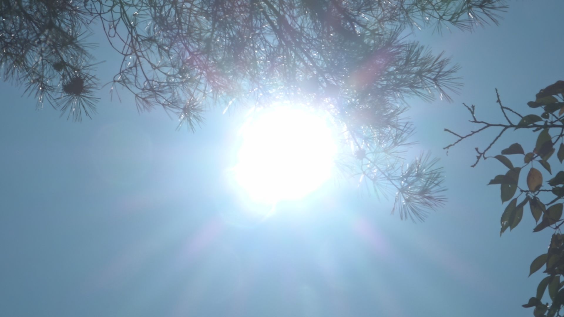 9月も厳しい残暑 高田で33.8℃