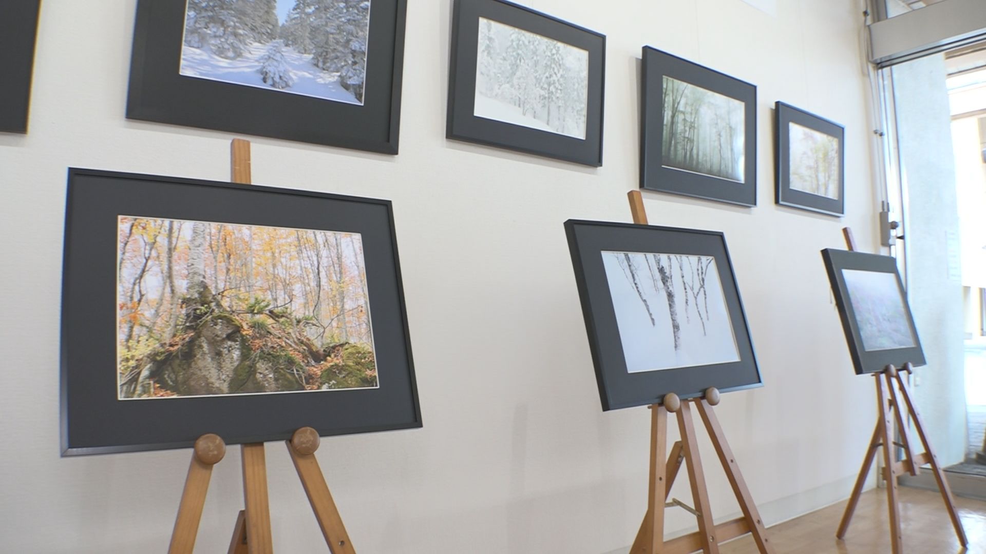 趣がある自然風景 松澤拓海さん写真展「森の四季」開催中