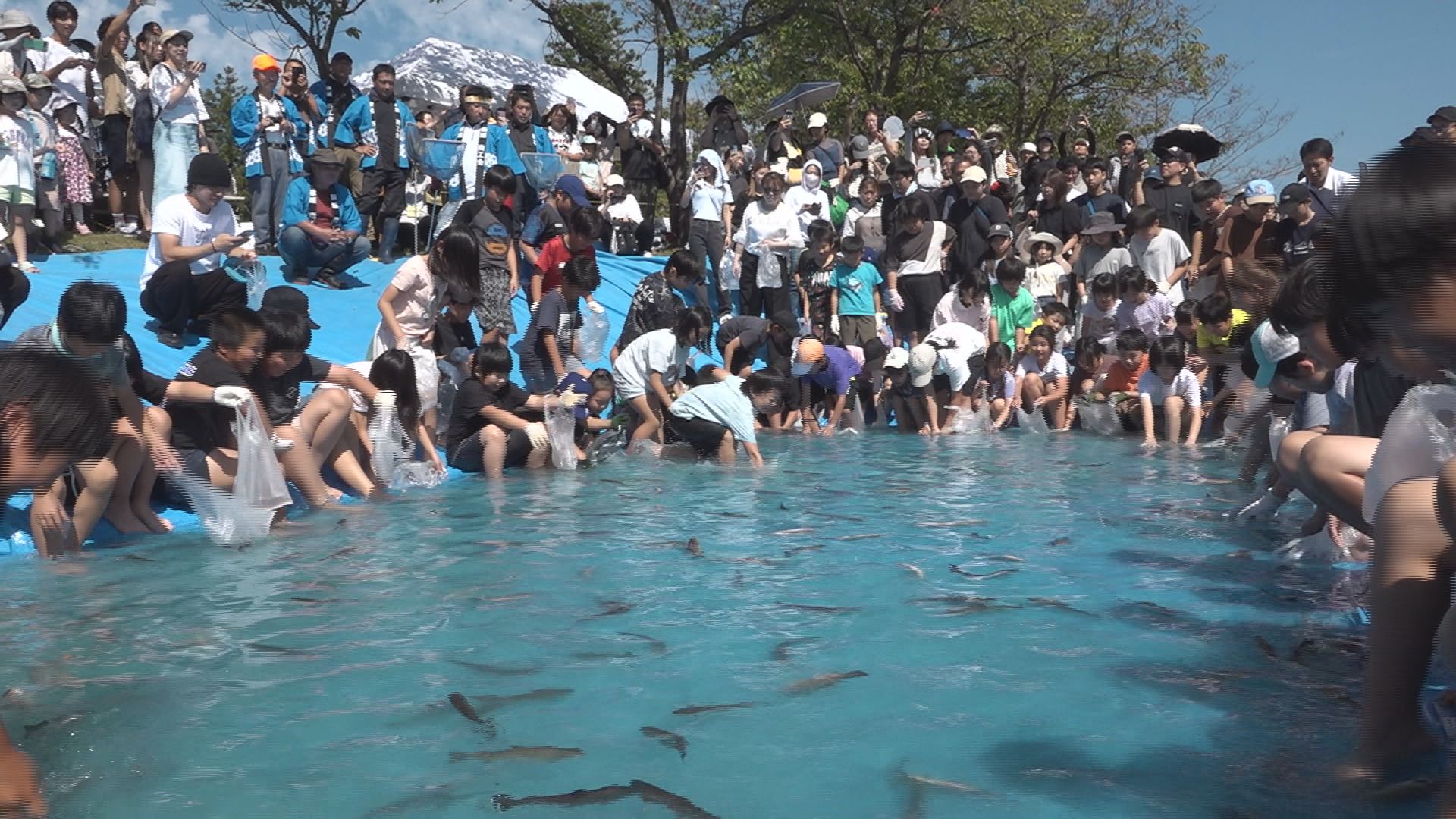 頸城区「大池まつり」 ニジマスつかみ取りに夢中！