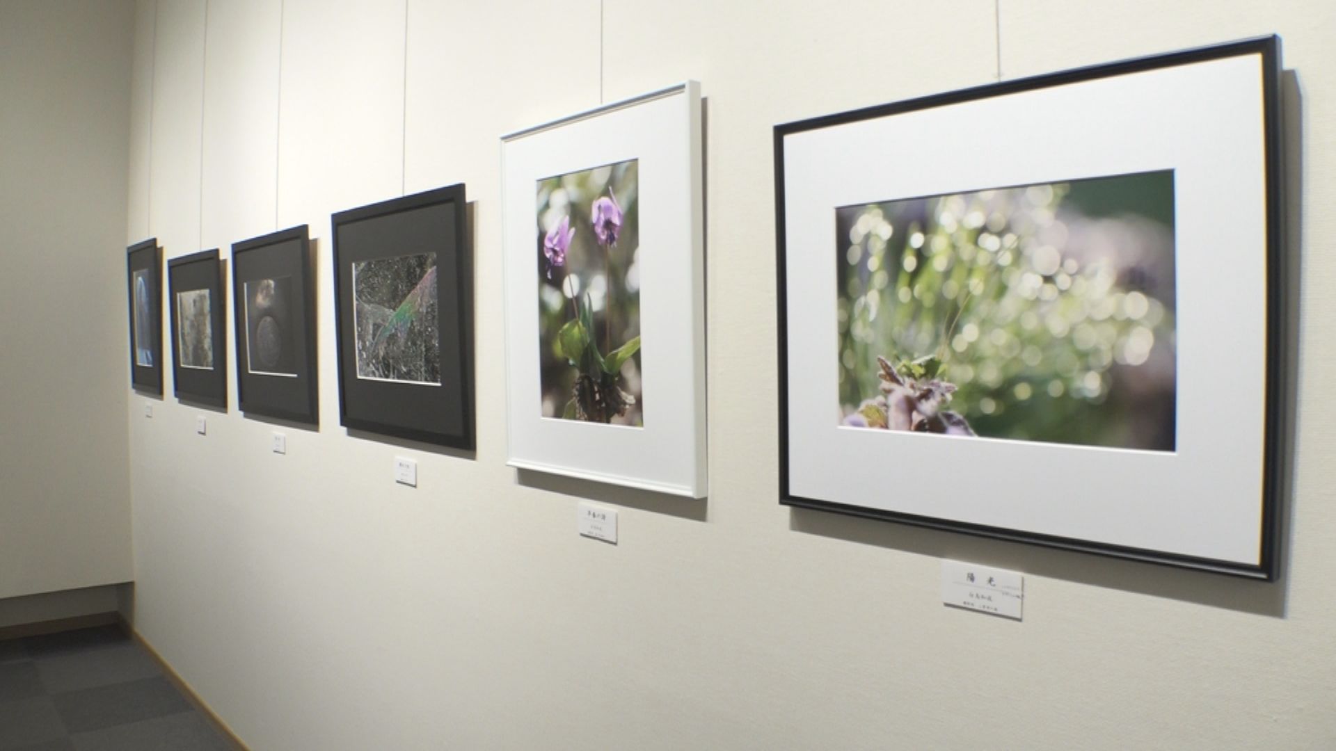 自然、香る！上越地域の自然あふれる写真展