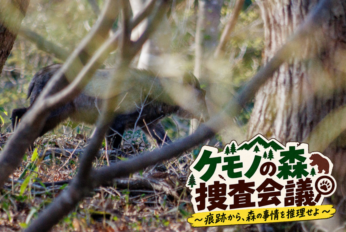 妙高高原ビジターセンター 11月の自然体験イベント参加者募集